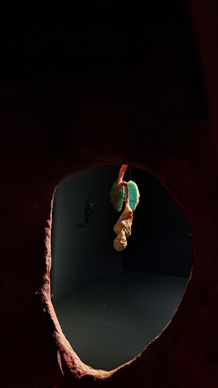 نگاهی به نمایشگاه «رویت» هما اشرف منصوری به قلم امیرحسین شریفان A Look at Homa Ashraf Mansouri’s Exhibition “Roo’yat (Sighting)” By Amirhossein Sharifan
